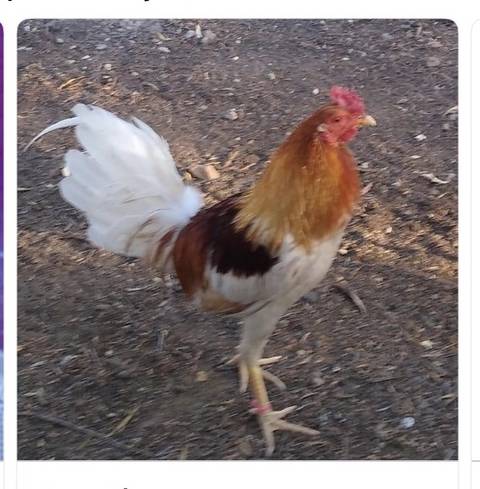 Moneyshot - justdatip4u OnlyFans