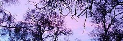 savagemellybaby nude