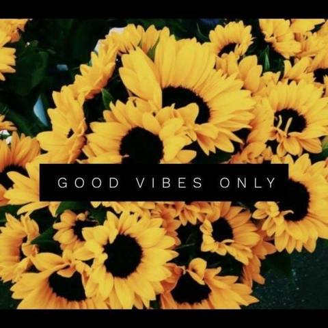 Compass_Rose - compassrose OnlyFans