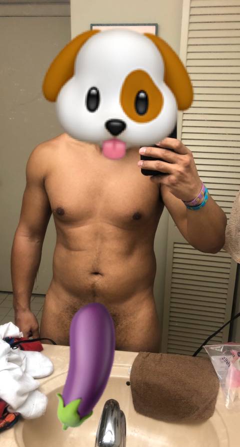 @the_dog862