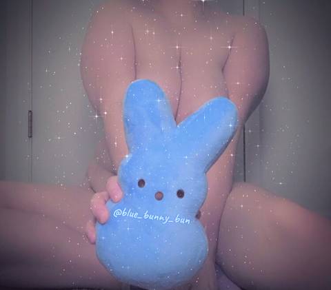 blue_bunny_bun