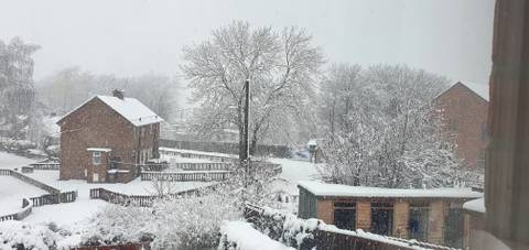 bigcurvybeautyppv nude