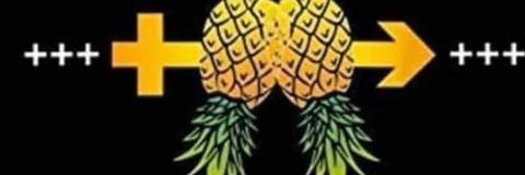 pineapplepartner nude