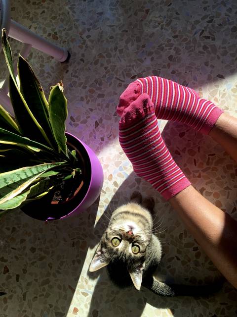 the.pink.kitten