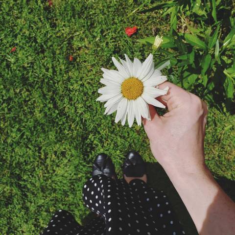 PeachyBrunette - peachy-brunette OnlyFans