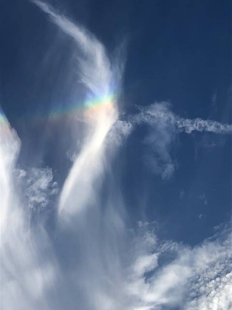 nikkiray_u66856151 nude