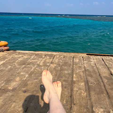 Julie profile picture