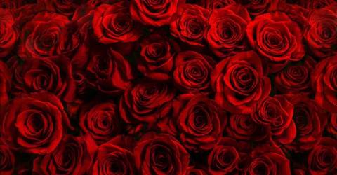 @redteaser nude redteaser nude