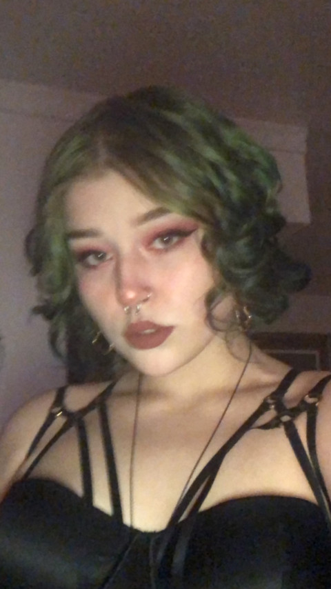 Lotus profile picture