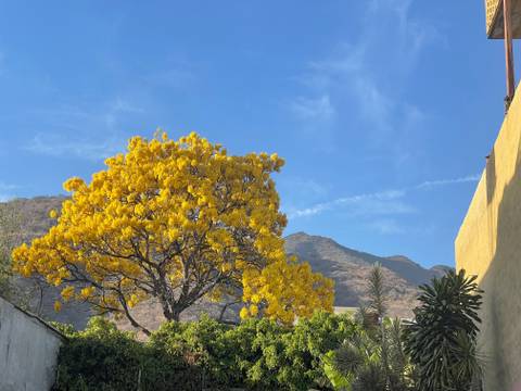 @astolfoastolfito nude astolfoastolfito nude