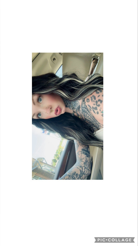 𝖌𝖔𝖙𝖍𝖎𝖈𝖜𝖔𝖗𝖒 profile picture