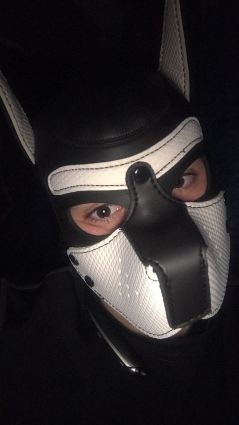 ZeecoPuppy profile picture