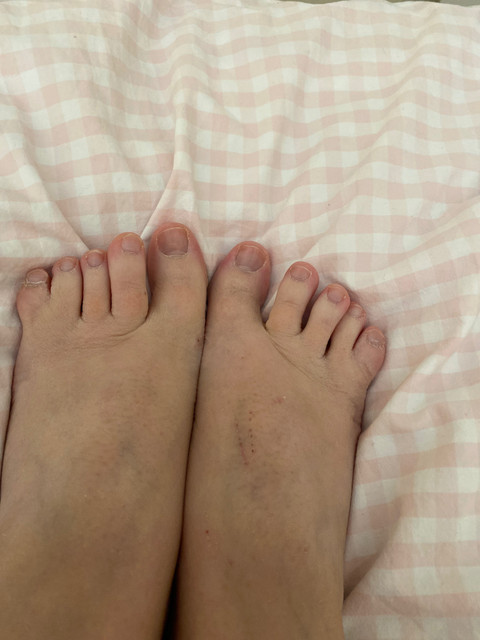 WebbedFeetRita profile picture