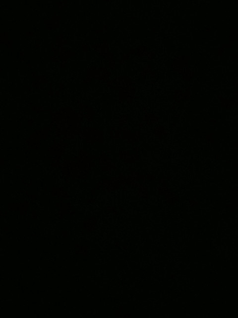 Melania Zara profile picture