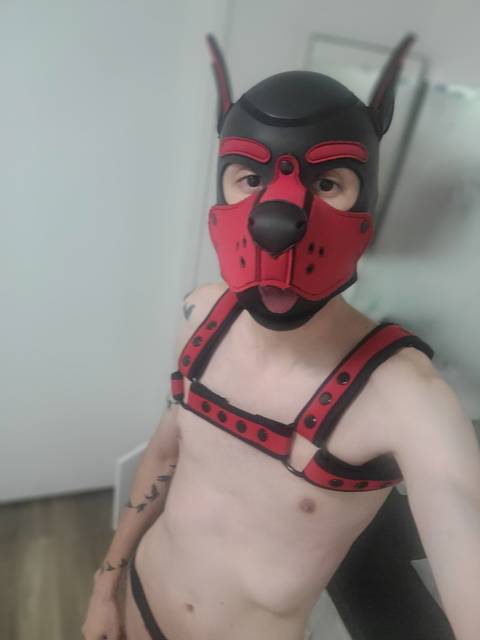 @kinki_pup @kinki_pup