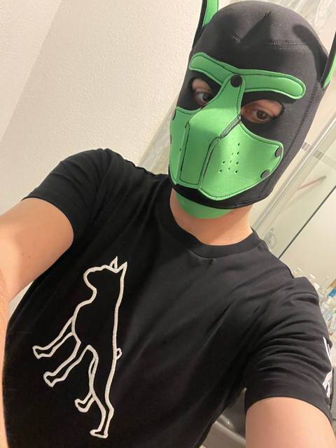 @taylorgreen @taylorgreen