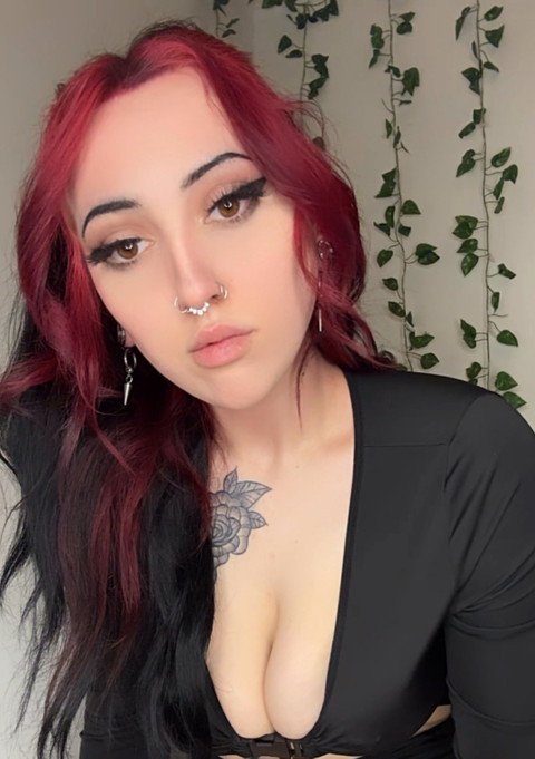 flickxthexbean profile picture