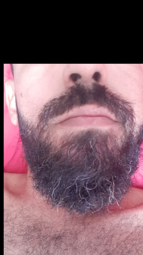 Guto barbudo profile picture