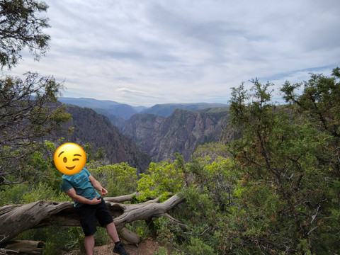 Unvaxxxed Gold profile picture