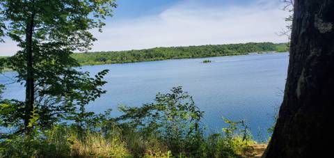 @dahmanonsight @dahmanonsight