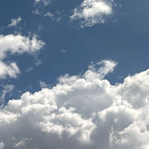 @harleexharlee @harleexharlee