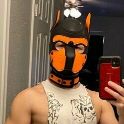 Pupspike999 profile picture