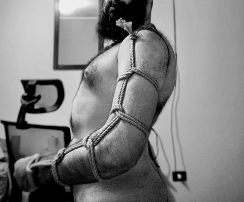 Caerisse profile picture