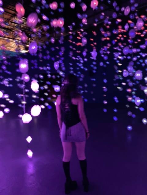 @malditabrujitaxo @malditabrujitaxo