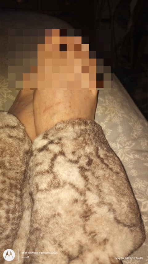 Fluffy Beans profile picture