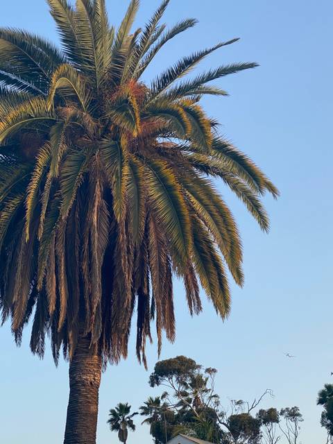 @bitcoinbaddiez nude bitcoinbaddiez nude