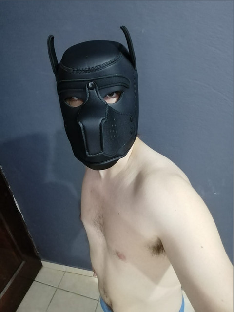 Dick Dragon profile picture