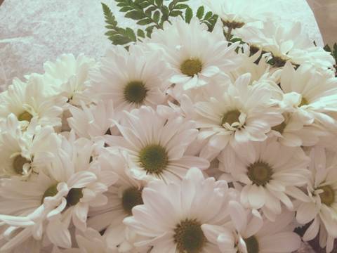 @woahheywoah nude woahheywoah nude