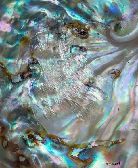 @sirenatyler nude sirenatyler nude