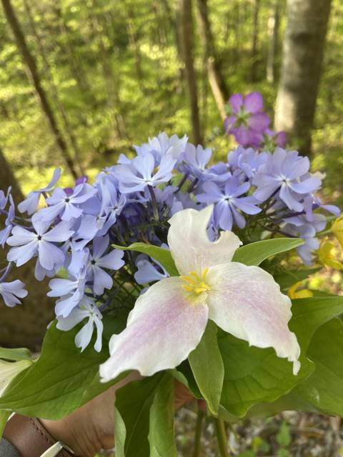 @ashleigh87691 nude ashleigh87691 nude