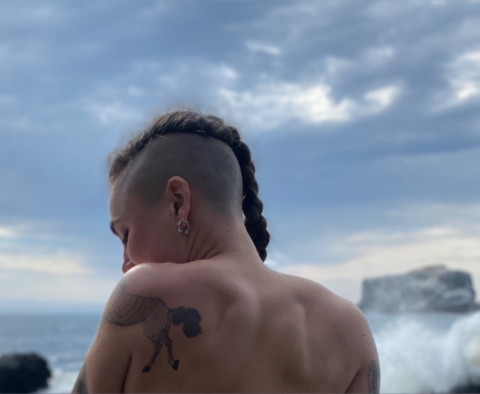 A Wild Ryde profile picture