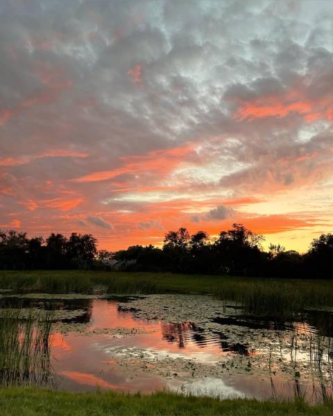 @hollowedferns nude hollowedferns nude