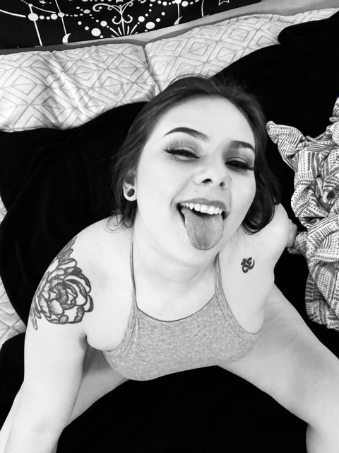 AlexNReyah profile picture