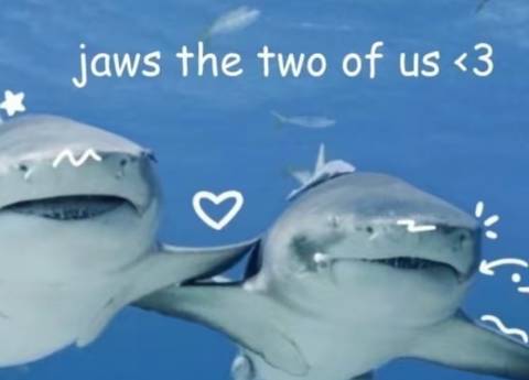 @dannielwaters @dannielwaters