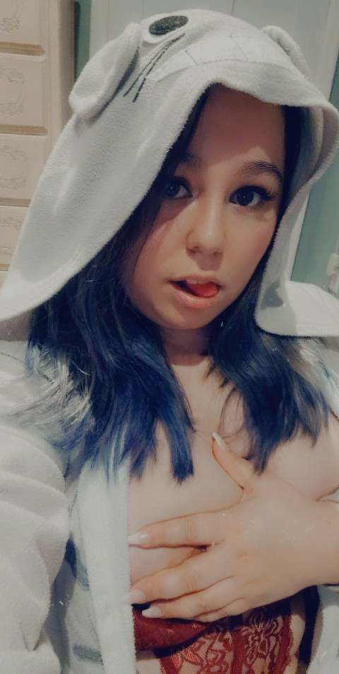 @kitt.katt @kitt.katt