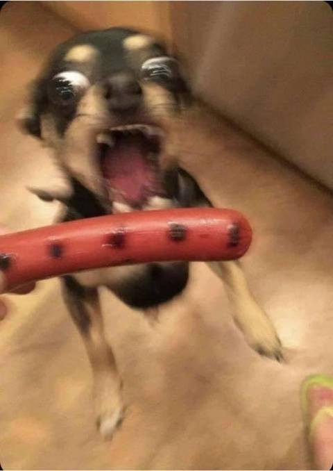 @ariblaze nude ariblaze nude