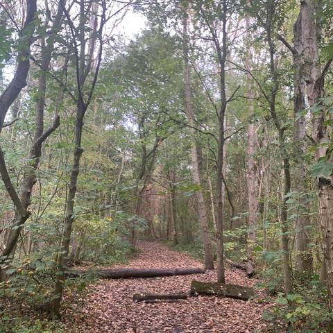 @alicemaria2020 nude alicemaria2020 nude