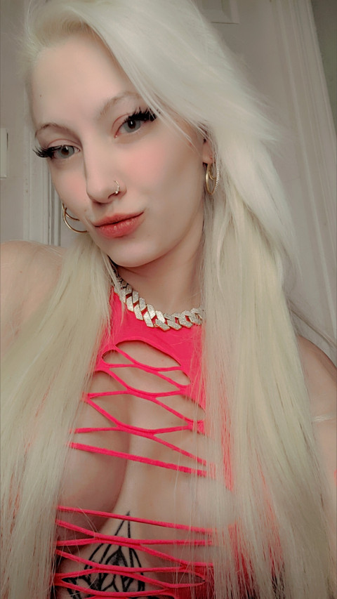 Harley Kitten profile picture