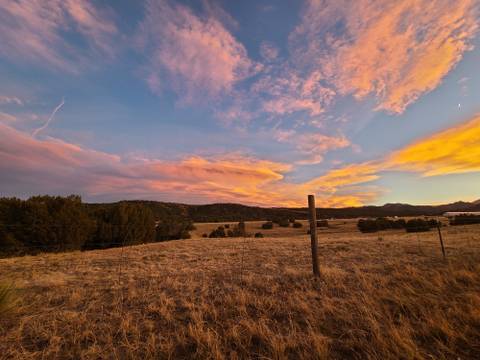 @u95864295 nude u95864295 nude