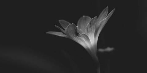 @maricel22 nude maricel22 nude