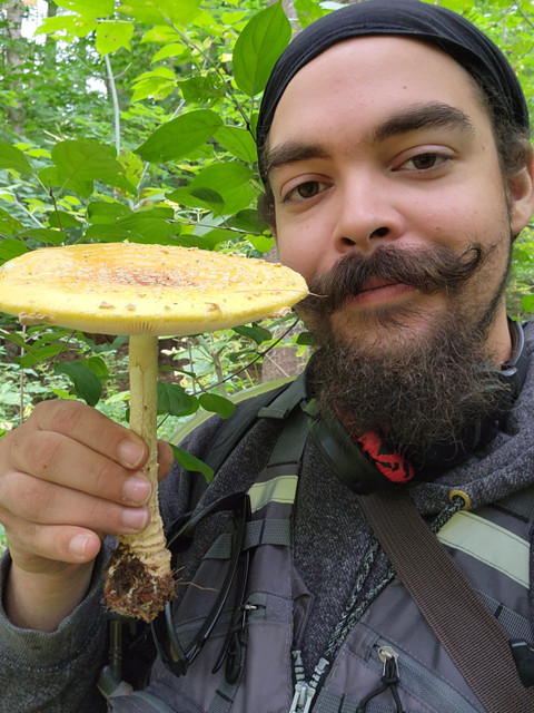 Nevrdai profile picture