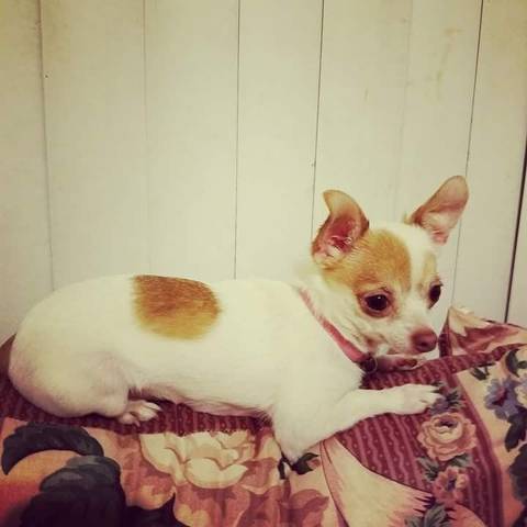 @bug1992 nude bug1992 nude