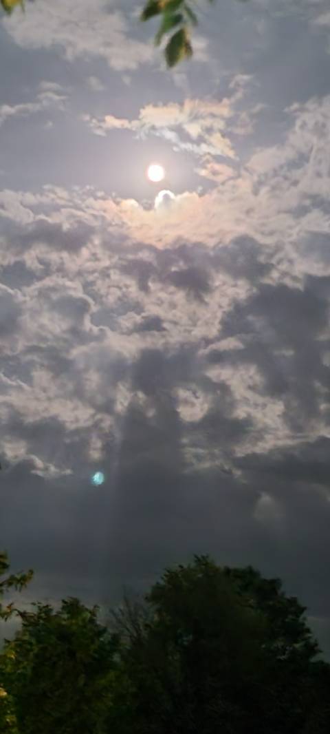 @astra_rainn nude astra_rainn nude