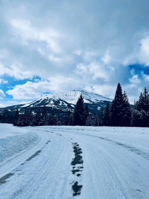 @tattedfun nude tattedfun nude