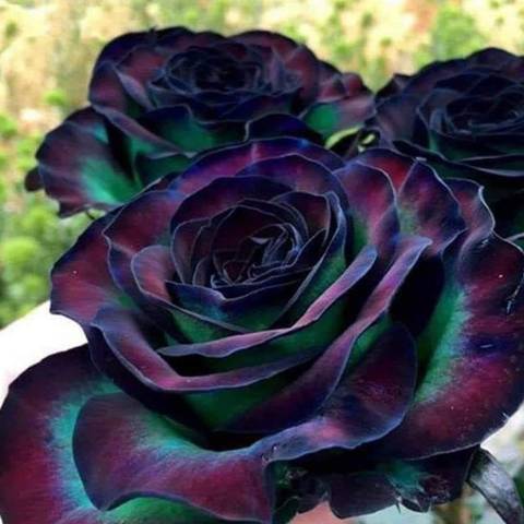 @sexxylexi420 nude sexxylexi420 nude