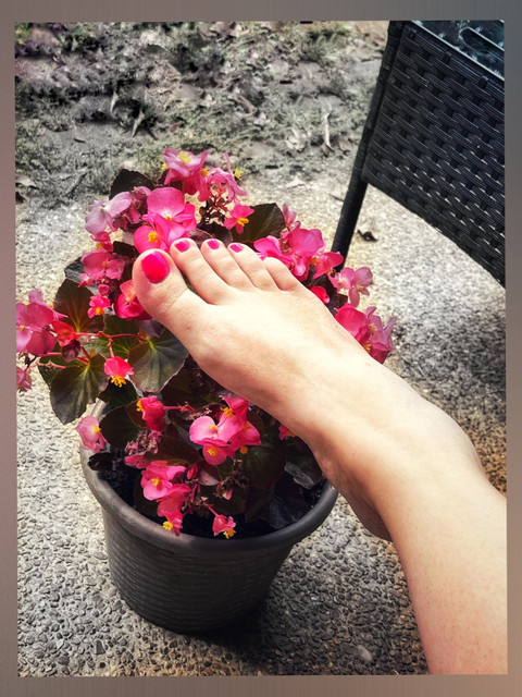 Fancy Feet profile picture
